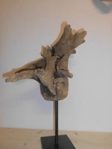 Treibholz - Treibholzskulptur - Unikat aus der Isar - Bild 1 von 8