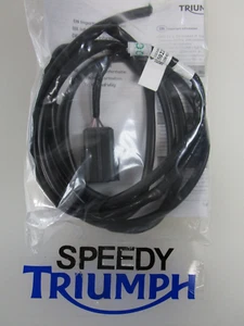 Triumph Tiger 1200 TIGER 800 TIGER EXPLORER BEHEIZTER GRIFF UNTERKABELBAUM T2502204 - Bild 1 von 3