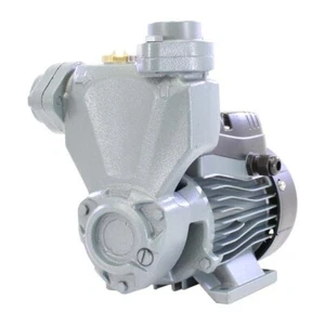 PEARL SELF-PRIMING PERIPHERAL WATER PUMP PSP - 0.5HP, 110V With Pressure Control - Picture 1 of 2