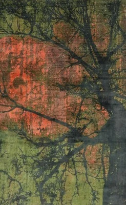 Nature Print Modern Abstract Living Room Rug Contemporary Oriental Carpet 5x9 - Image 1 of 4