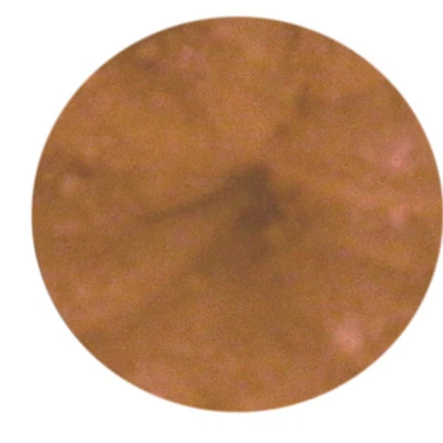 EUROPEAN BEAUTY BARE EYE SHADOW MAKEUP MINERALS - DESTINY - 10G Sifter Jar - Image 1 of 2