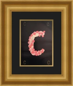 Erte Alphabet Suite " C " Custom Framed Print FREE SHIPPING - Picture 1 of 1