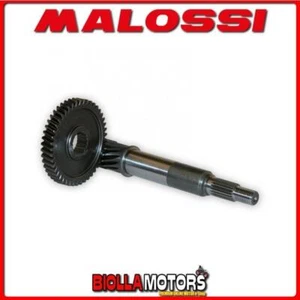 6712497 INGRANAGGI RAPPORTI PRIMARI MALOSSI Z 14 / 45 HONDA SH I 150 IE 4T LC EU - Foto 1 di 5