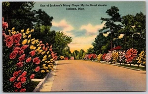Postal Mississippi una de las muchas calles forradas de mirto de crepé de Jackson - Imagen 1 de 2