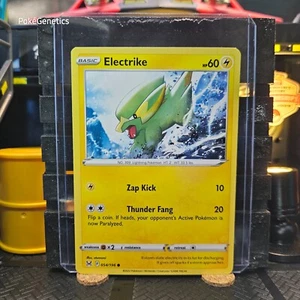 Electrike Origine Perduta Pokémon TCG 054/196 Spada e Scudo Comune - Foto 1 di 6