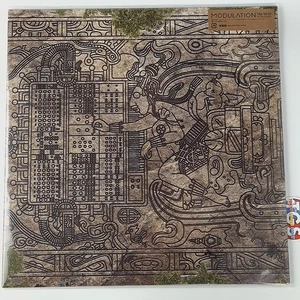 Vinyl Modulation Final Fantasy Arrangement Album OST LP Record Soundtrack Japan - Bild 1 von 3