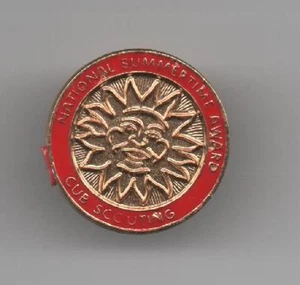 National Summertime Activity Award Pin for Wolf Cub, Mint! - Picture 1 of 1