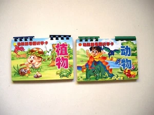 7合 识字卡片 2本 识字书 1本 学拼音书 Lot of Chinese Flashcards 7 boxes 3 books - Picture 1 of 12