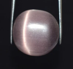 Natürliches lila Katzenauge 22,55 ct runder Cabochon loser Edelstein zertifiziert C2931 - Bild 1 von 7