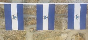 Nicaragua Flag Bunting - 6m With 20 Flags - Picture 1 of 4