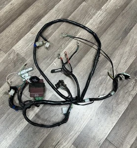 Kymco People 50cc 2-Stroke Main Wiring Harness W/CDI Fully Tested 1998-2005 - Bild 1 von 7