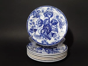 ANTICO SERVIZIO 6 PIATTI PIANI NINFEE CERAMICA RICHARD MILANO FINE 800 FLOW BLUE - Foto 1 di 4