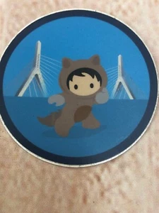 New Salesforce Sticker Trailhead Trail Blazer Astro Zakim Bridge Boston Rare! - Afbeelding 1 van 3