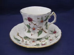 VINTAGE HAMMERSLEY CO. TEETASSE & UNTERTASSE - "DOGWOOD BLOSSOM" BONE CHINA ENGLAND - Bild 1 von 10