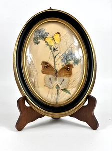 Vtg Framed Butterfly Art Print Brown & Yellow Butterflies on Engraved Background - Bild 1 von 4