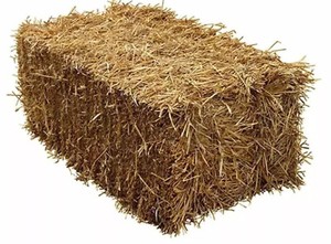 Straw Bale For Sale Ebay