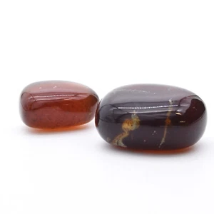 Amber Polished - Picture 1 of 5