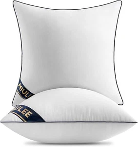 22x22 Pillow Inserts Set of 2 Throw Pillows 22 Inch Premium Down Alternative - Picture 1 of 5