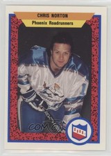 1991-92 ProCards AHL/IHL Chris Norton #386