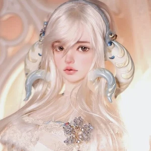 Bare Body BJD Girl 1/3 Resin Girl Female Ball Jointed Dolls Eyes Face Makeup Toy - Picture 1 of 11