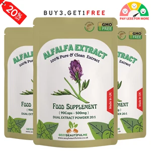 Luzerne Extrakt Kapseln 500mg - vegane Kapseln - helfen bei Cholesterin & Blutzucker - Bild 1 von 5