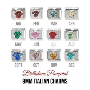 Pawprint birthstone 9mm Italian Charm - Fits classic Italian charm bracelets - Picture 1 of 13