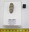 Météorite NWA 15875 - Eucrite-melt breccia (NWA - 5.41 grammes - 006 **)