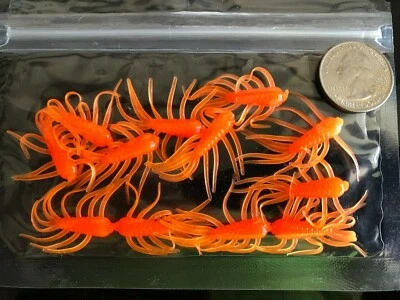 Cebos de plástico blando - Crappie - Panfish - Perfumado - 12 unidades - Ácaro de 1 3/8" Foto 1 de 4