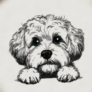 Bichon Frise Poo Welpe personalisiert bestickt Fleece Stadiondecke - Bild 1 von 2