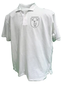 Escudo de armas con cresta blanca nombre de la familia irlandesa Ahearne to linch - Imagen 1 de 27