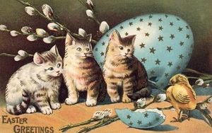 Easter Greetings Kittens Watching Chick Hatch From Egg Vintage Easter Postcard - Picture 1 of 2