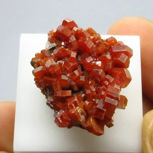 Cluster of Vanadinite  (non-precious natural stone) #4199 - Picture 1 of 4