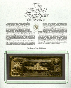 22kt Gold $100 Belize UNC 1981 Banknote- Fishburn - RARE - Picture 1 of 1