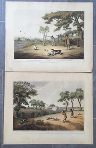 1807 (1955) Prints; Partridge Shooting 1 & 2 after Samuel Howett - Picture 1 of 4