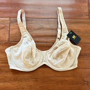 NWT Wacoal Stark Beauty Underwire Bra 855225 Lace - Cream 36D - Picture 1 of 6