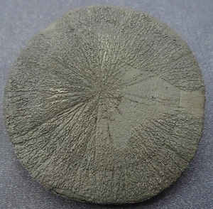 Pyrite Sun, Illinois - Mineral Specimen for Sale - Picture 1 of 4