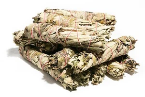 Paquete de incienso Yerba Santa Smudge 8"-9" (12 piezas) #JC-88 - Imagen 1 de 6