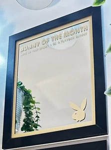 Playboy Mirror Colorful and Kinky Bunny Of The Month reflection glass mirror - Picture 1 of 16