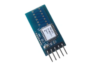 Reyax: RYBG211_lite - Imagen 1 de 1