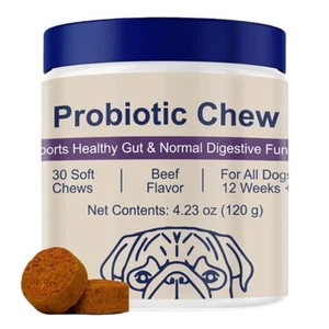 Probiotics Chew Tablets For Dogs Pet Health Supplement - Picture 1 of 4