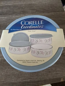 CORELLE COORDINATES PINK TRIO PORCELAIN OVER STEEL 6 PIECE BOWL SET FREE US SHIP - Picture 1 of 3