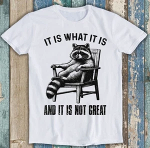 It Is What It Is And It Is Not Great Raccoon Meme Funny Gift Tee T Shirt 1735 - Picture 1 of 2