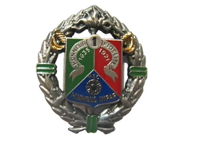 INSIGNE CAVALERIE LEGION ETRANGERE 1° REC (VARIANTE EN ARGENTE MAT) FAB. Y.D - Picture 1 of 2