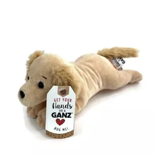 Get Your Hands On A GANZ Bean Bag Dog Plush Stuffed Animal Tan Brown - Picture 1 of 6