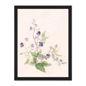 Flower Veronica Watercolour Large Framed Art Print Wall Poster 18x24 Inch - Bild 1 von 21