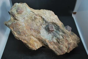 RARES GRENATS DE COLLOBRIERE DANS LE VAR - Imagen 1 de 4