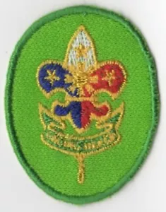 Bandiera Boy Scouts VERDE Bdr. [INT445] - Foto 1 di 1