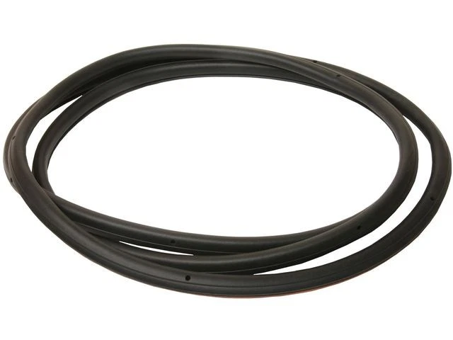 Piezas APA/URO 34QF98X sello de puerta delantera para BMW 525i 2001-2003 sello de puerta Foto 1 de 1