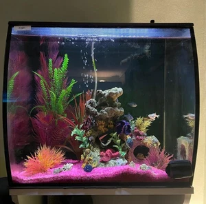 Fluval Flex 57L Fish Tank With Stand Plus Full Set Up & Decorations - Picture 1 of 21