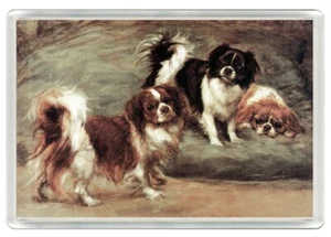TIBETAN SPANIEL DOGS DOG ART PRINT NOVELTY ACRYLIC FRIDGE MAGNET GREAT GIFT - Picture 1 of 1